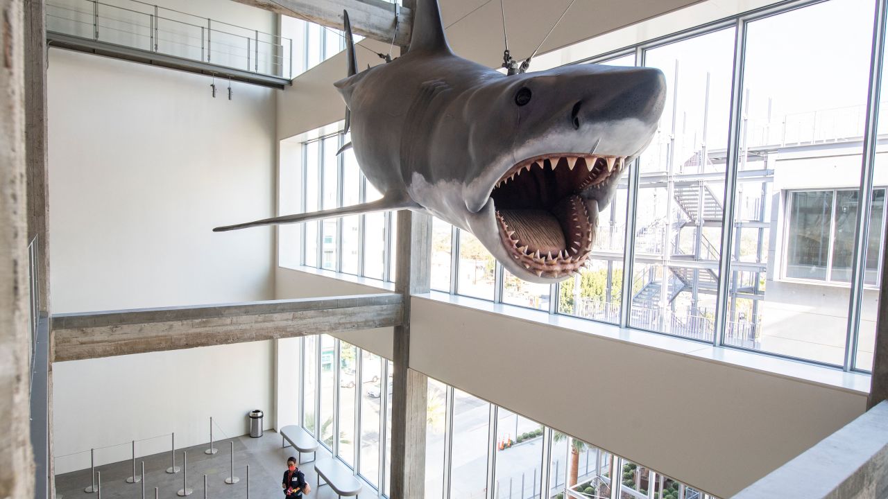 "Bruce" the animatronic shark from the movie Jaws is displayed inside the Academy Museum Of Motion Pictures during the opening press event, in Los Angeles, California, September 21, 2021. (Photo by VALERIE MACON / AFP) (Photo by VALERIE MACON/AFP via Getty Images)