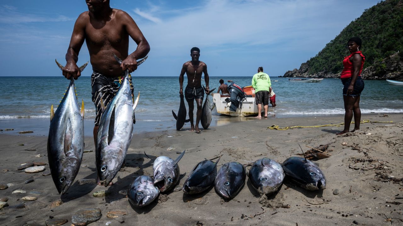 A group of local fishermen unload tunas from their fishing boat to be prepared for sale on the beach of Chichiviriche de la Costa, Venezuela, on October 31, 2021. - Venezuelan authorities have organized sport fishing competitions to fight the dangerous proliferation of the lionfish, which experts assure threatens the existence of other species due to its high level of predation. (Photo by Yuri CORTEZ / AFP) (Photo by YURI CORTEZ/AFP via Getty Images)