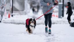 A woman runs with her dog along a snow covered National Mall in January 2022 in Washington, DC.