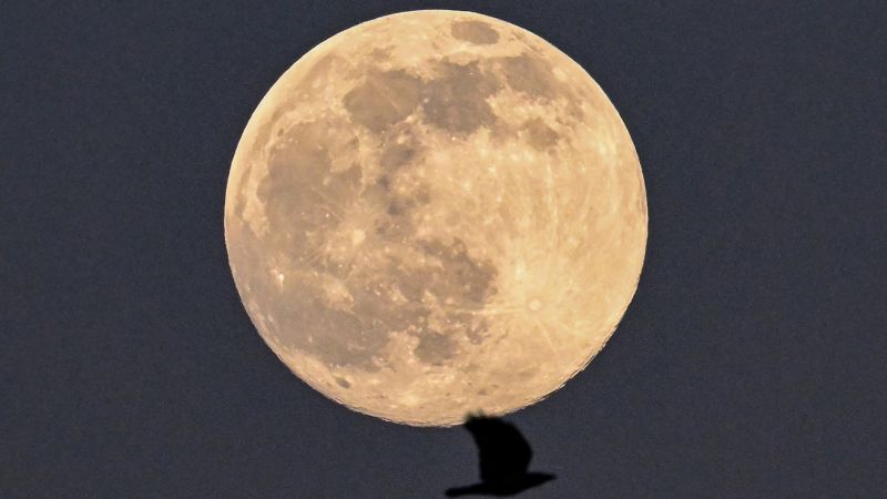 Лунное затмение: как увидеть предстоящую червоточину Луны