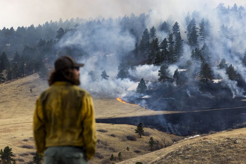 A plant that’s everywhere is fueling a growing risk of wildfire disaster