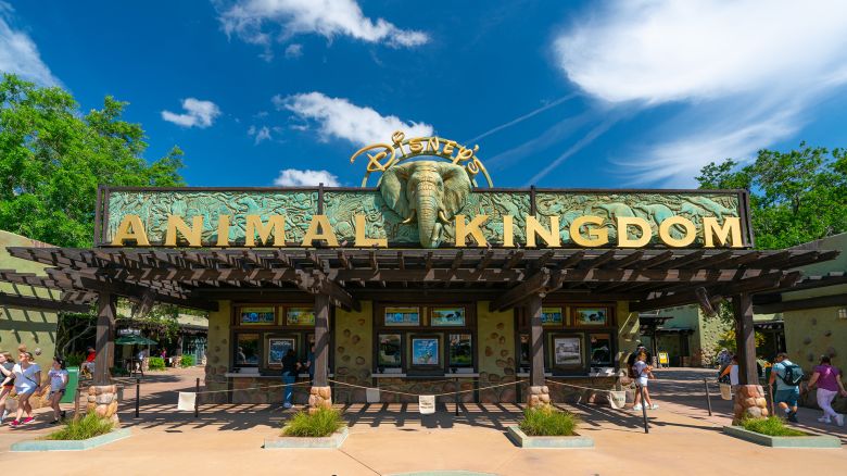ORLANDO, FL - APRIL 03: General views of Animal Kingdom, at the Walt Disney World Resort on April 03, 2022 in Orlando, Florida.  (Photo by AaronP/Bauer-Griffin/GC Images)