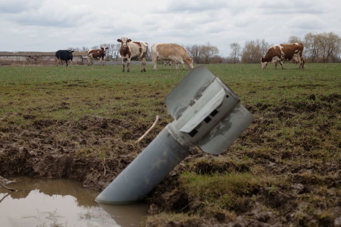 Un cohete caído en un campo cerca de vacas pastando el 10 de abril de 2022 en la aldea de Lukashivka, Ucrania.