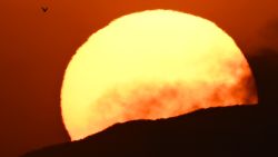 A bird takes flight on the horizon as the sun sets in the west during a heat wave in Los Angeles, California on September 6, 2022. - A blistering heat wave is baking the western United States, the latest to blast the northern hemisphere in a summer that has brought extreme temperatures across Europe, Asia and North America. (Photo by Patrick T. FALLON / AFP) (Photo by PATRICK T. FALLON/AFP via Getty Images)