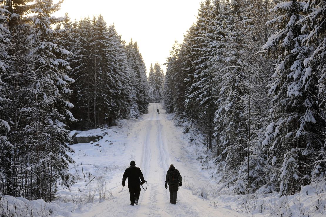 Hunters attend a wolf hunt on january 2, 2010 near Kristinehamn. A total of 27 wolves, 10% of the wolves population, can be killed in Sweden's first wolf hunt in 45 years following a decision taken on October 2009 by the country's parliament to limit their number. Twenty wolves had been already killed in the whole country on the first day of hunting. The hunting period will be allowed untill 15 february if the last 7 haven't been killed before. AFP PHOTO/ OLIVIER MORIN (Photo by Olivier MORIN / AFP) (Photo by OLIVIER MORIN/AFP via Getty Images)