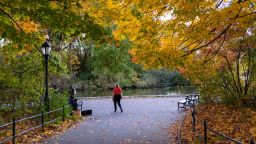 NEW YORK, NY - OCTOBER 27: People enjoy Brooklyn's Prospect Park as trees near their peak autumn foliage on October 27, 2022 in New York City. New York's foliage, especially trees upstate, are reaching their full fall colors in the coming days. The season for fall foliage this year is later as a result of the drier weather over the summer as opposed to last year. (Photo by Spencer Platt/Getty Images)