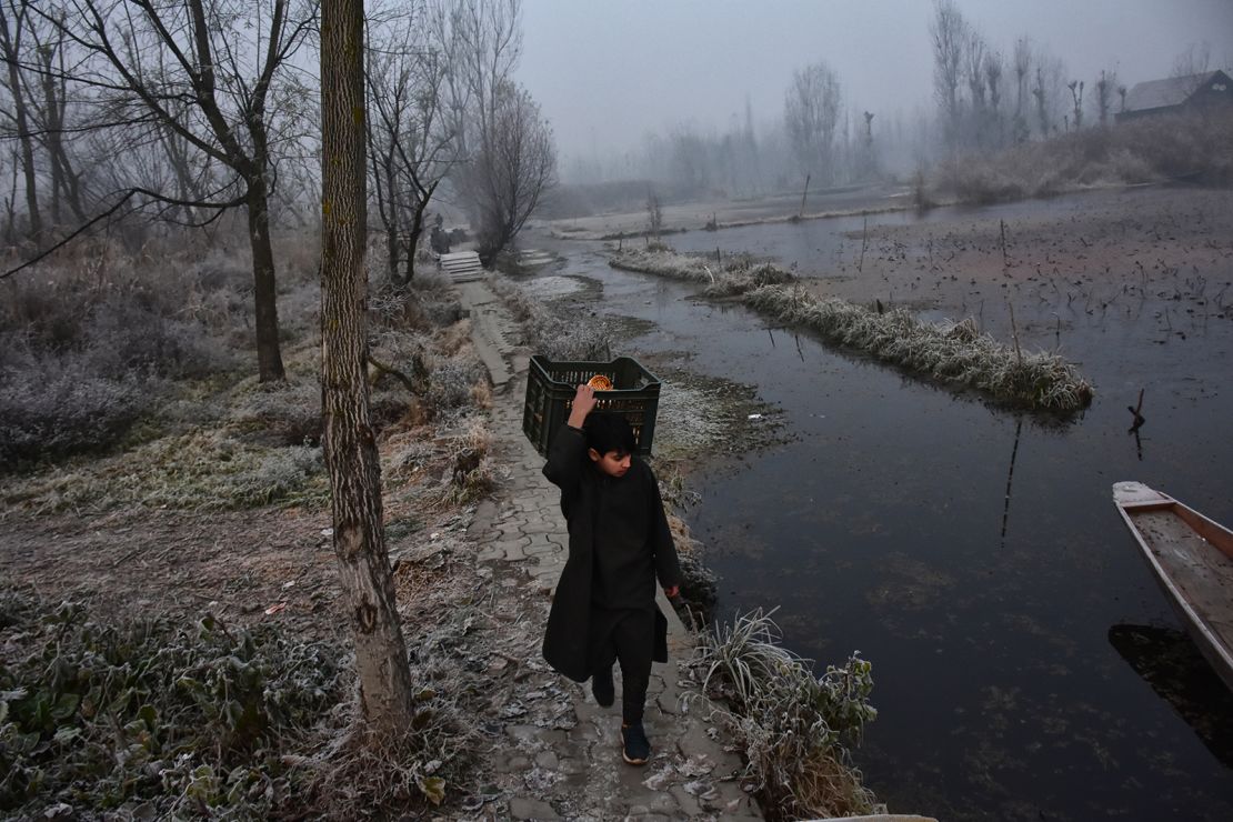 Dal Lake (pictured) is a popular tourist attraction and home to a 'floating' vegetable garden in warmer months.