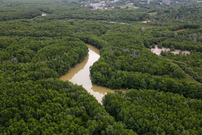 Borneo was once covered in rainforest like this, but it has lost <a href="https://www.researchgate.net/publication/322254458_Forest_loss_and_Borneo's_climate" target="_blank">half its forest cover</a> since the 1930s, destroying valuable carbon stores. Pictured, a screengrab from aerial video footage of a forest in Balikpapan, eastern Borneo.