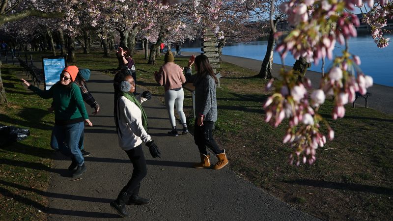 Пролетно равноденствие: Първият ден от пролетта предвещава по-дълги дни и древни начини