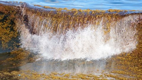 TOPSHOT - View of the floating seaweed known as sargassum affecting the Port of San Souci, next to the mouth of the Osama river in Santo Domingo on May 5, 2023. - According to local authorities, a wave of sargassum affects the activity of ports and tourism on the Caribbean coast of the Dominican Republic. (Photo by Felix Leon / AFP) (Photo by FELIX LEON/AFP via Getty Images)