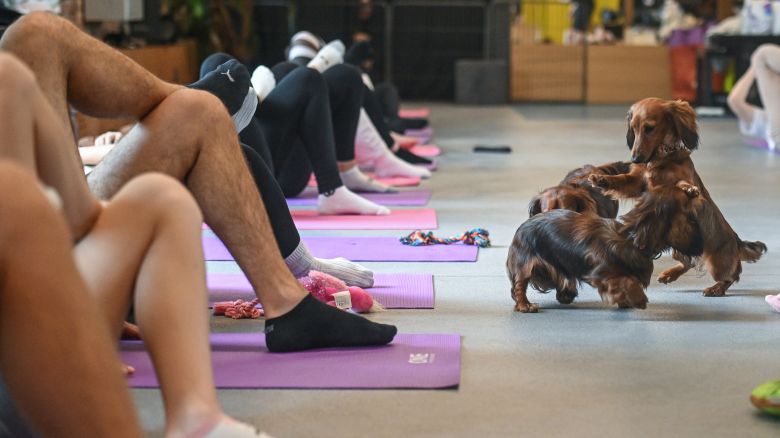 Participants attend a puppy yoga class on June 10, 2023 in Krakow, Poland.