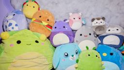 Carter Kench's collection of squishmallows at his home on June 16, 2023 in Los Angeles, California.