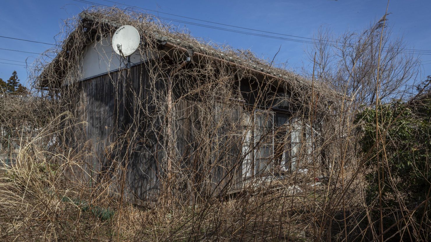 Weeds and vines grow around an abandoned house in Okuma, Japan on March 9, 2023, ahead of ceremonies to mark the 10th anniversary of the 2011 Tohoku earthquake.