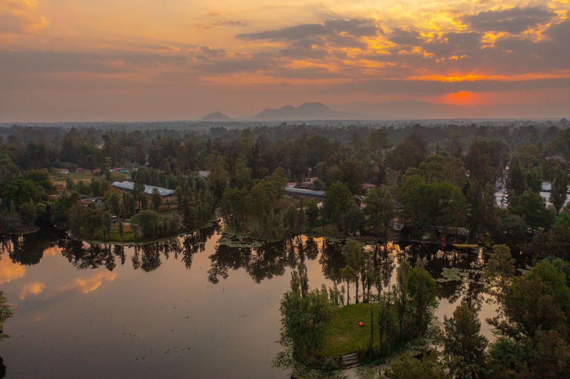 Mexico's Lake Xochimilco is the only spot where axolotls are found in the wild. An agricultural system of human-made floating islands called chinampas once provided a thriving habitat for the now-threatened amphibians.