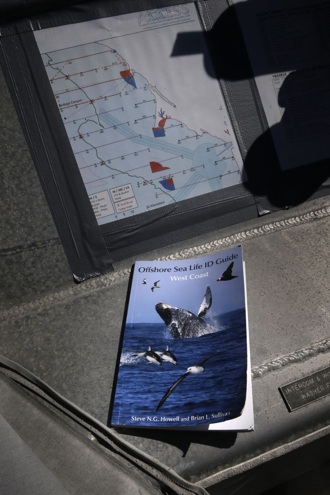 A bordo del buque de investigación Fulmar de la NOAA, cerca de San Francisco, se observan herramientas de investigación, incluida una guía de la vida marina en alta mar.