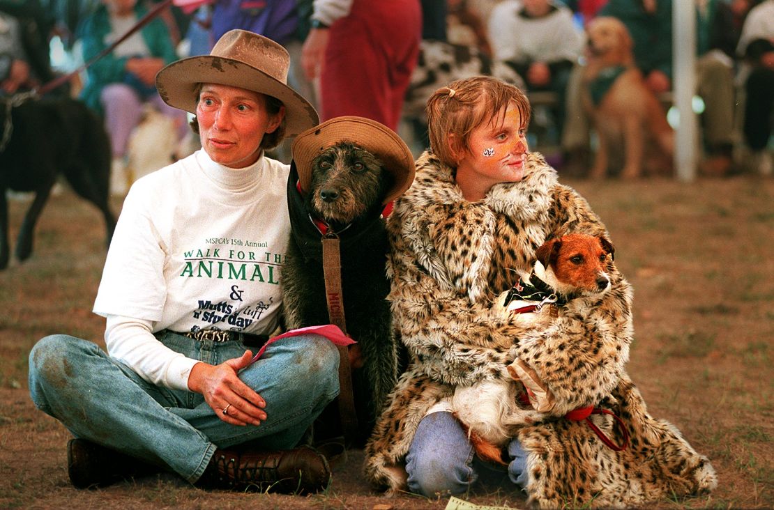 In one study, participants were able to match purebred dogs with their owners based on photographs alone.