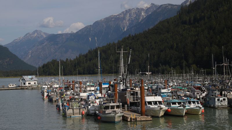 Grizzly attacks schoolchildren and teachers on a walking trail in Canada, injuring 11