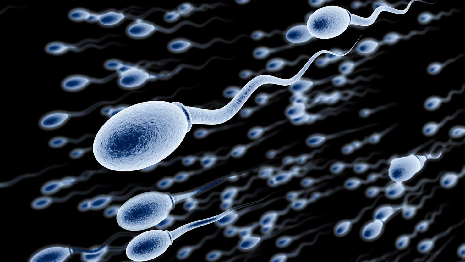 Strong sperm capable of swimming is linked to longer life in men, a new study finds.
