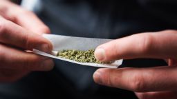 Close-up of a young adult rolling a marijuana joint against a blurred background. Man placing desiccated marijuana leaves inside rolling paper.