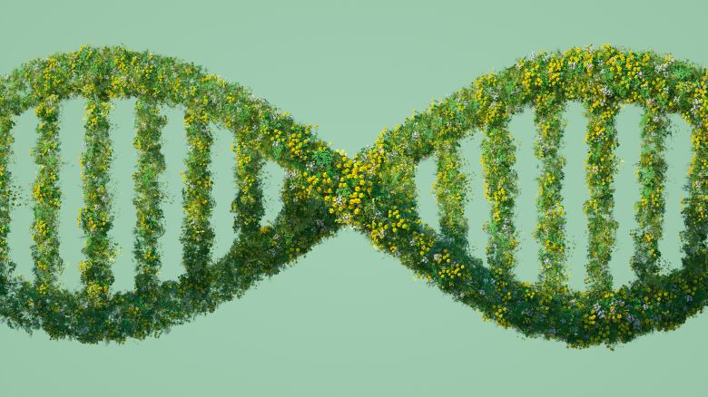 Digital generated image of DNA structure made out of  grass and flowers against pastel green background. Nano biotechnology and  sustainability concept.