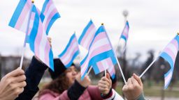 Many people holding transgender flags high in the sky