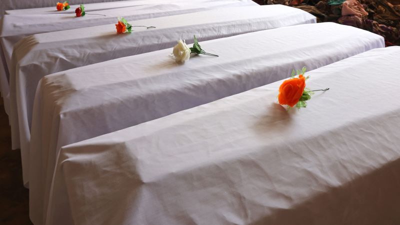 https://media.cnn.com/api/v1/images/stellar/prod/gettyimages-1404398636.jpg?c=16x9&q=w_800,c_fill