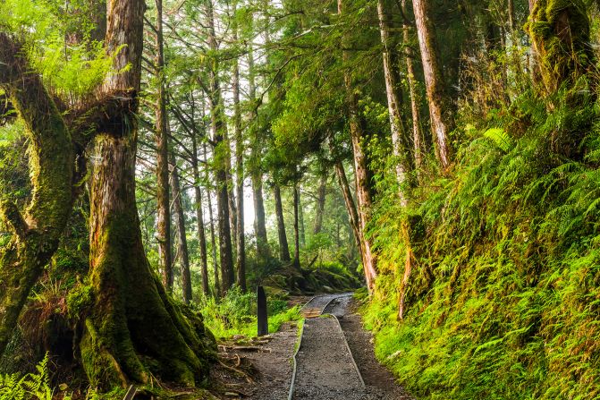 <strong>Foggy forests: </strong>Another Natural Forest Recreation Area, Taipingshan features plenty of easy walking trails.