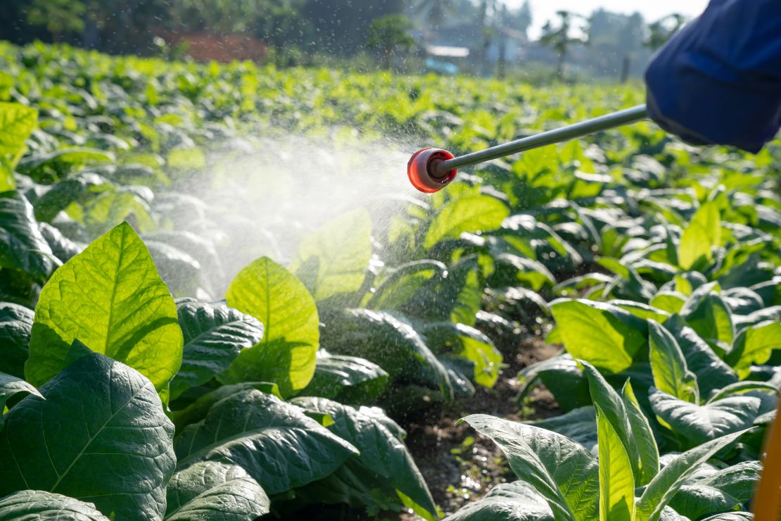 Some of the pesticides used to grow the nation's crops contain PFAS that have been linked to hormone and immune dysfunction.