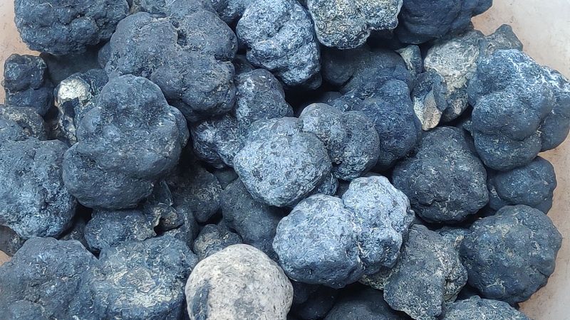 Why Trump is signing an executive action on mining the deep ocean