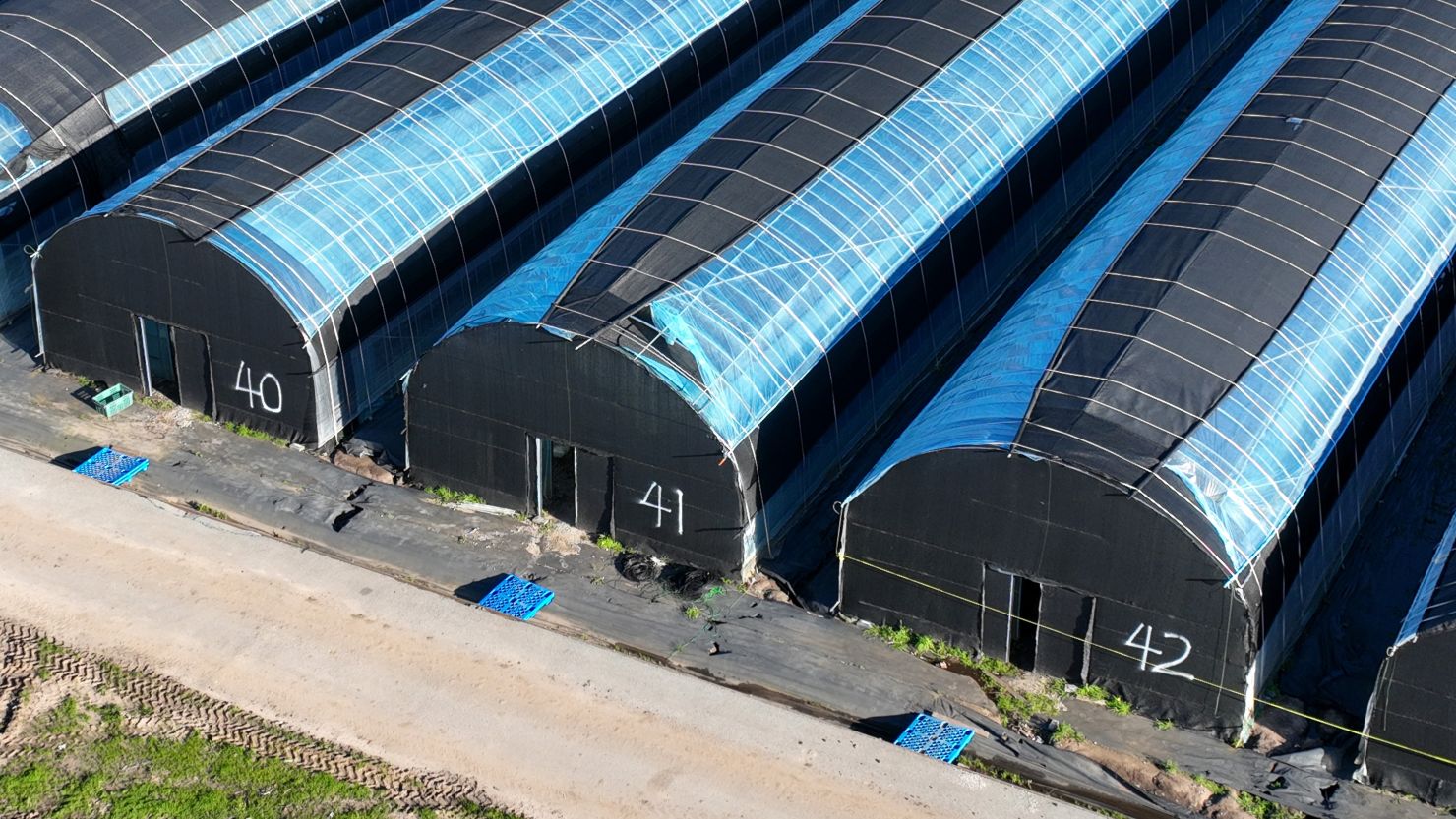 The California Terra Gardens mushroom farm in Half Moon Bay, California, is one of two farms the Department of Labor says underpaid workers and provided unsafe housing.