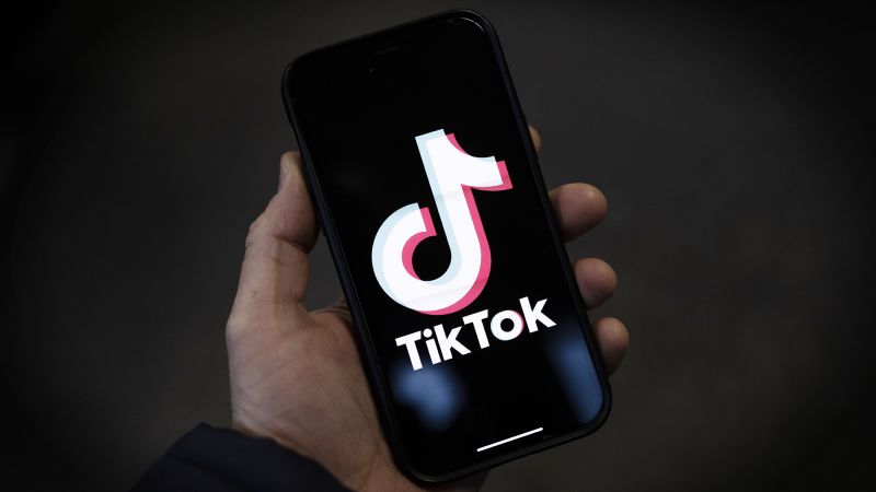 Albania shuts down TikTok for a year amid concerns over violence among children