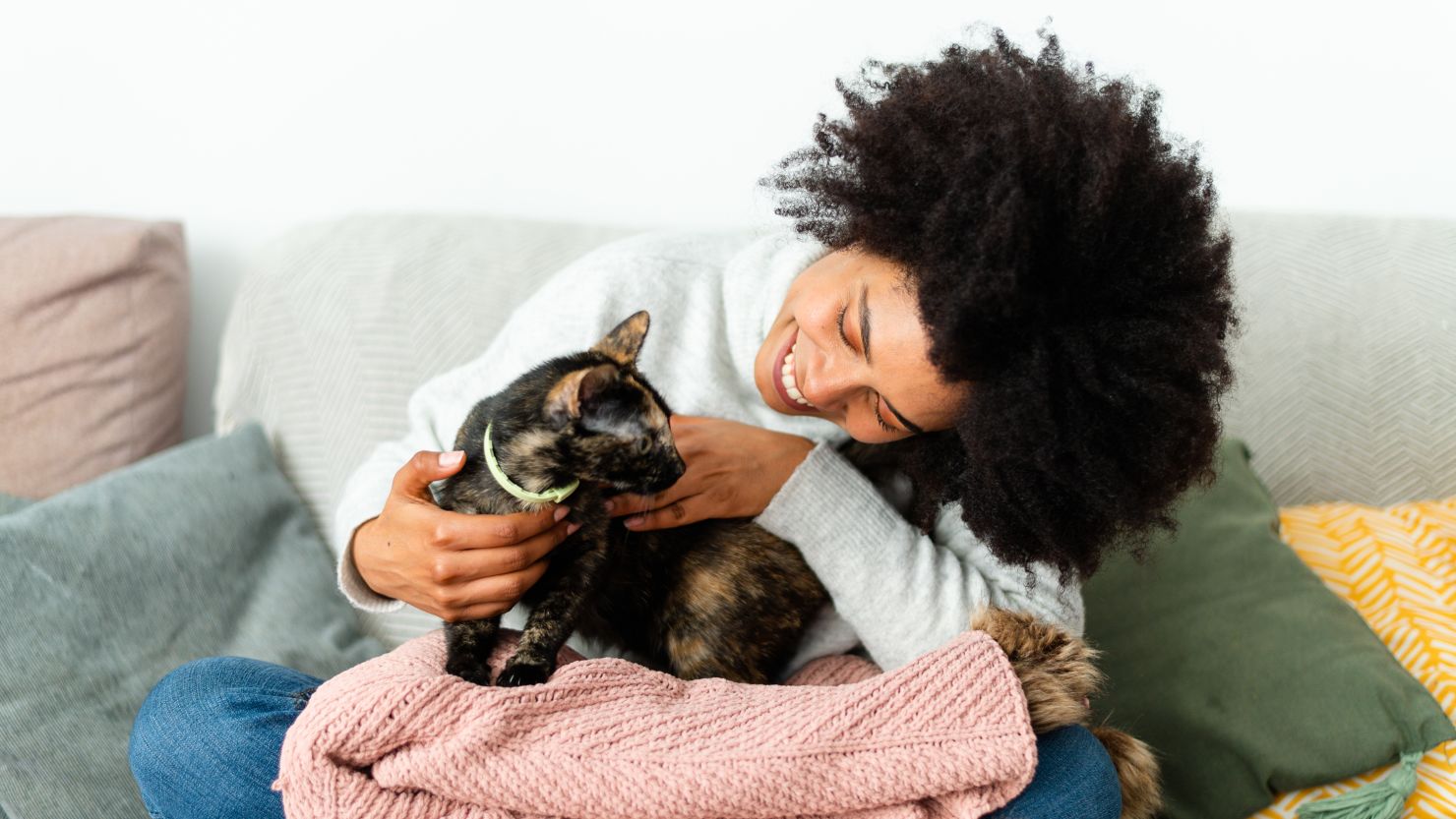Pets could boost wellbeing as much as a wife or husband, study suggests |  CNN