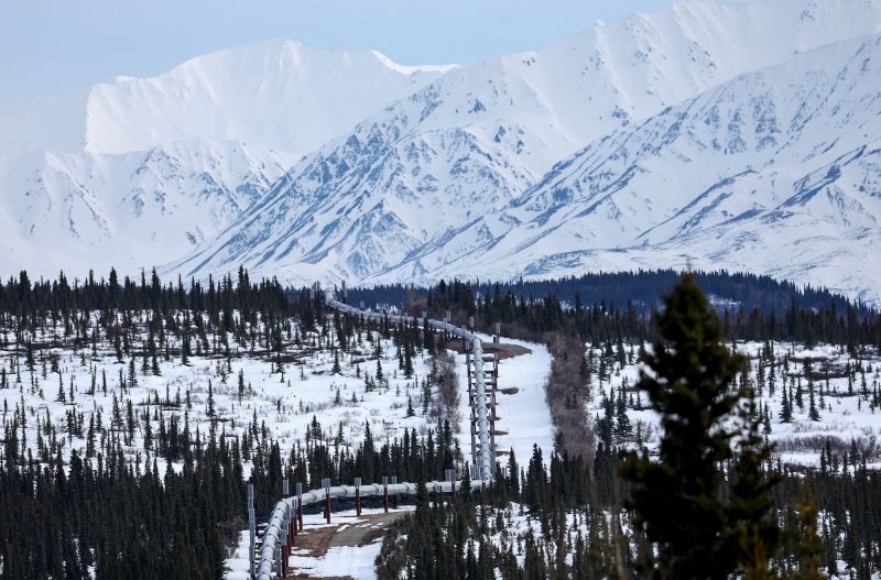 Alaskan Pipeline Condom