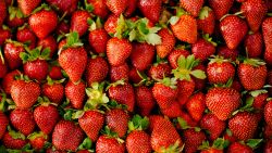 Lots of fresh strawberries sold in the market