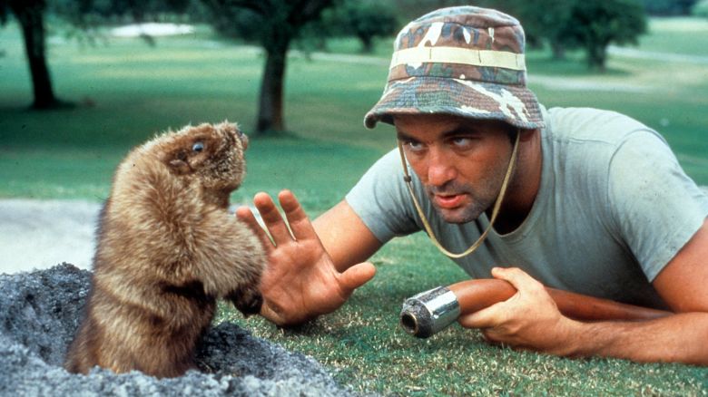 Bill Murray eye to eye with a gopher in a scene from the film 'Caddyshack.'