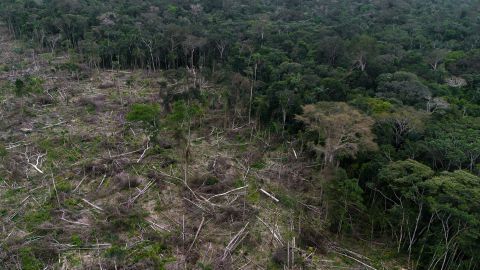 A section of deforestation near La Paz, Guaviare department, Colombia, on Sunday, July 30, 2023.