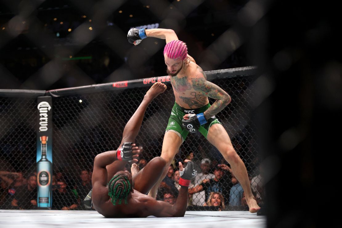 O'Malley won the UFC bantamweight title after defeating American fighter Aljamain Sterling.