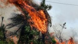 Wildfires burn the forests in the Reserva (Reserve) Recursos Manejados Lago Ypacara in San Bernardino, Paraguay, on September 23, 2023. (Photo by NORBERTO DUARTE / AFP) (Photo by NORBERTO DUARTE/AFP via Getty Images)