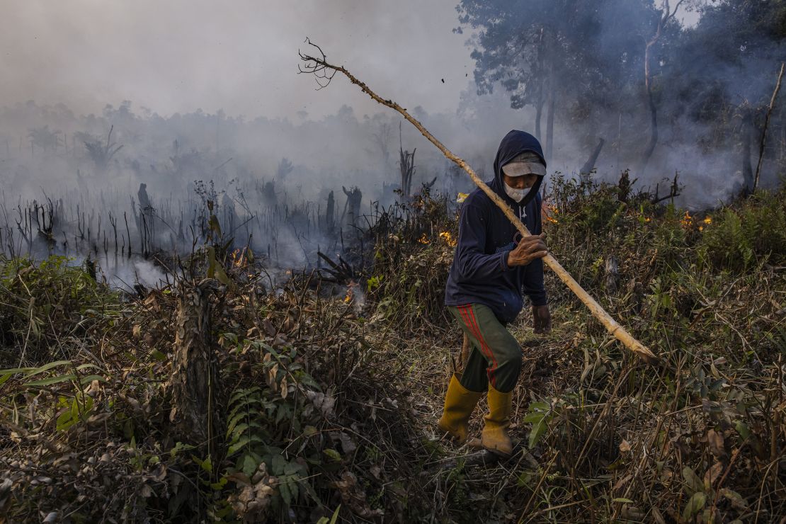 A man attempts to extinguish a wildfire in a palm oil plantation in Ogan Ilir, South Sumatra, Indonesia on September 23, 2023.