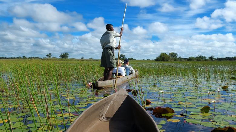 <strong>Botswana:</strong> The Okavanga Delta (pictured) is one of this African country's most talked-about destinations, but Lonely Planet also highlights Linyanti Reserve in its Best in Travel list for 2026.