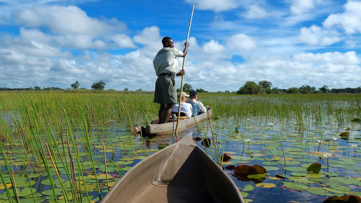 <strong>Botswana:</strong> The Okavango Delta (pictured) is one of this African country's most talked-about destinations, but Lonely Planet also highlights Linyanti Reserve in its Best in Travel list for 2026.