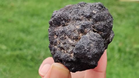 BHUBANESHWAR, ODISHA, INDIA  SEPTEMBER 12: As part of India's Deep Ocean Mission, polymetallic nodules rich in Manganese, Copper, Cobalt, Nickle harvested to mine critical minerals seen here in on September 12, 2023 at Bhubaneshwar, India.  (Photo by Pallava Bagla/Getty Images)