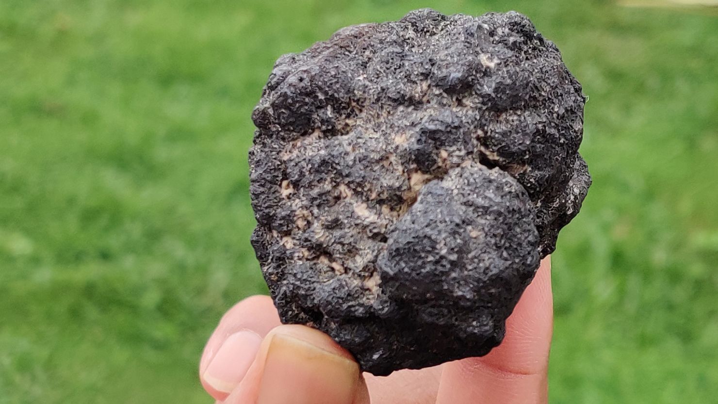 A rock nodule rich in manganese, copper, cobalt and nickel is seen in 2023 in Bhubaneshwar, India. The country's Deep Ocean Mission harvested the specimen to extract minerals used in batteries and solar panels.