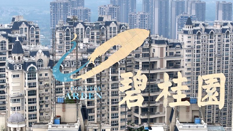 Проблемният китайски строителен предприемач Country Garden е изправен пред петиция за ликвидация