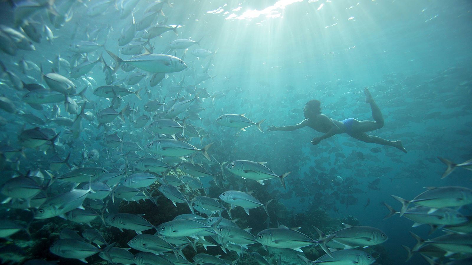 They’ve sailed across Southeast Asia for centuries. Now, these sea nomads are being forced to live on land