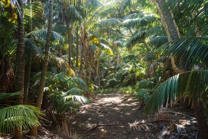 <strong>Tried and trusted: </strong>While many destinations around the world just are waking up to the perils of overtourism, Lord Howe Island's visitor cap has been in place for more than 40 years.