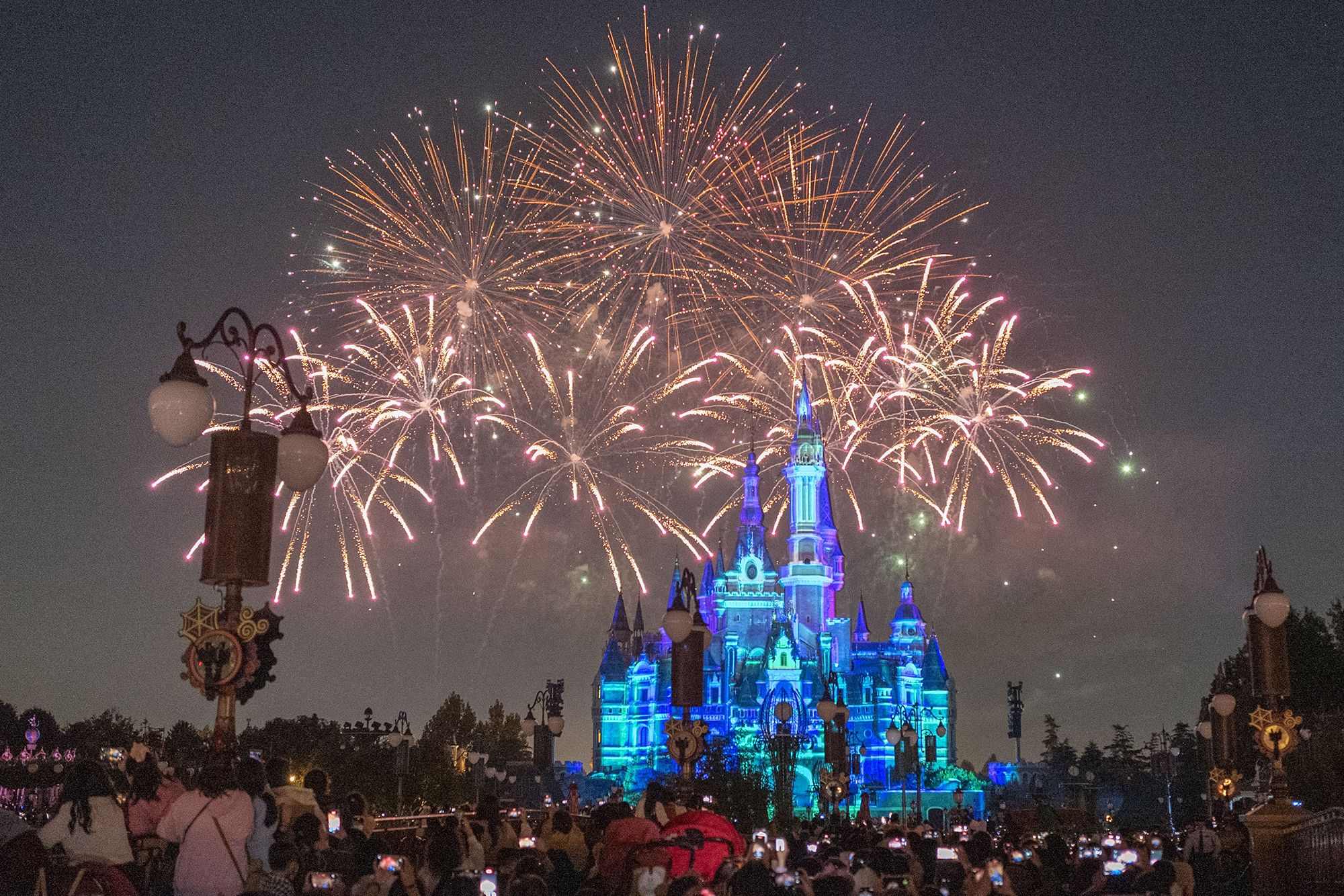 Disney+ Coming To Walt Disney World Resort Hotels – What's On Disney Plus