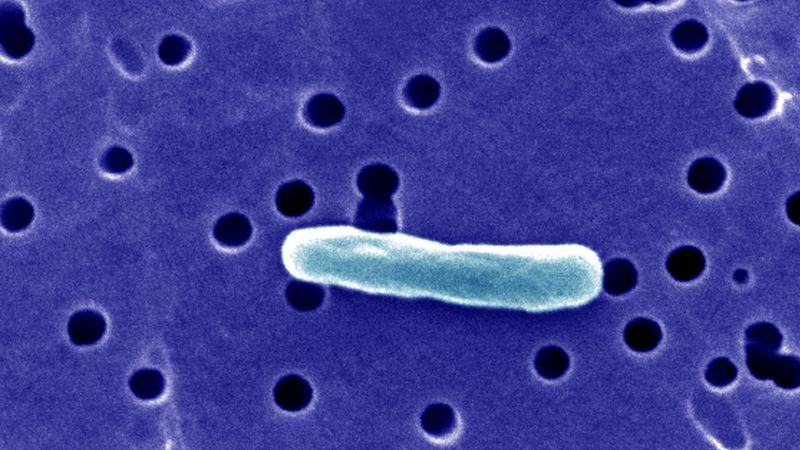 Nearly two dozen people in Florida are ill after drinking raw milk from the same farm
