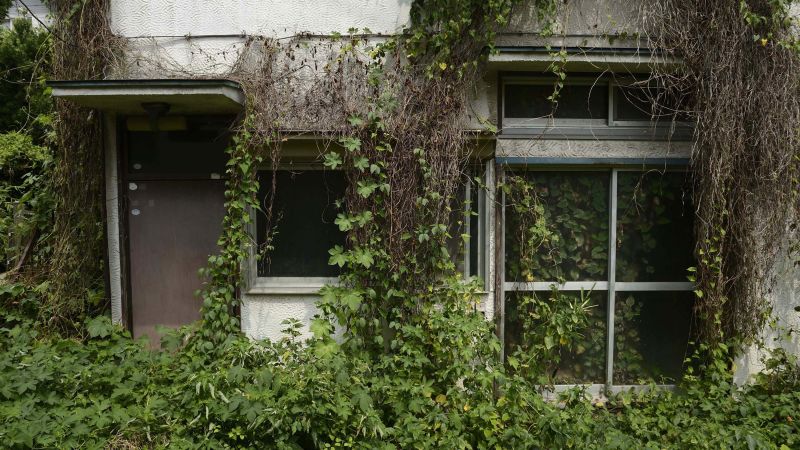 Защо твърде много домове и недостатъчно хора са проблем за Япония