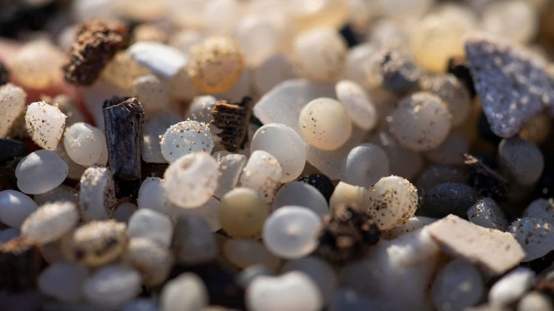 Microplastics are choking our waters. Could a sponge made of squid bones help remove them?